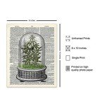 Marijuana Decor - Weed Smoking Gifts - Dope Wall Decor - Cannabis Wall Art - Pothead Gifts - Stoner Room Decoration - Pot Smoker Pricture - Weed Posters - Smoking Marijuana Poster - 8x10 Ganja