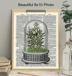 Marijuana Decor - Weed Smoking Gifts - Dope Wall Decor - Cannabis Wall Art - Pothead Gifts - Stoner Room Decoration - Pot Smoker Pricture - Weed Posters - Smoking Marijuana Poster - 8x10 Ganja