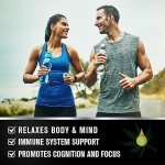 (2 Pack) Organic Hemp Oil - 100% Natural Hemp Oil Extract, Calming, Sleep, Relaxation, Immune Support, Rich in Omega 3, 6, 9 Fatty Acids, Vegan - 30mL