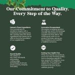 High Absorption Hemp Oil Capsules - Vegan Omega 3 6 9 Supplement with Essential Fatty Acids for Joint Support Relaxing Mood and Skin Health - Halal Non-GMO 1000mg per Serving Hemp Seed Oil Capsules