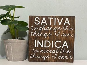 Sativa to Change The Things I Can-Indica to Accept The Things I Can’t Vintage Tin Sign Home Wall Decor Art Room for Home Office Bedroom Living Metal Funny Decoration Housewarming Gift 6"x 8"