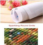 Apcufir Bookshelf Diamond Painting Kits for Adults,Goth Witchy Diamond Art Kits for Beginner Full Round Drill,Trippy Paintings Magical Book Diamond Dots for Home Wall Decor 12X16 Inch