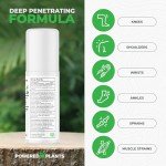 Hemp Oil Roll On - Menthol Rub with Boswellia & Arnica - 12,000mg Extra Strength Oil for Muscle Discomfort by Powered X Plants - Pack of 2, 3 fl.oz.