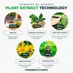 Hemp Oil Roll On - Menthol Rub with Boswellia & Arnica - 12,000mg Extra Strength Oil for Muscle Discomfort by Powered X Plants - Pack of 2, 3 fl.oz.