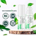 Hemp Oil Roll On - Menthol Rub with Boswellia & Arnica - 12,000mg Extra Strength Oil for Muscle Discomfort by Powered X Plants - Pack of 2, 3 fl.oz.