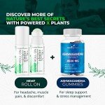 Hemp Oil Roll On - Menthol Rub with Boswellia & Arnica - 12,000mg Extra Strength Oil for Muscle Discomfort by Powered X Plants - Pack of 2, 3 fl.oz.