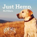 Hemp Well Thrive Oil for Dogs and Cats – Supports Hip, Joint, and Heart Health, Promotes Immune Support, Strengthens Skin and Coat, Organically Sourced – 2 Ounces