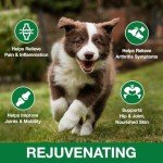 2 Pack Hemp Oil for Dogs and Cats - Anxiety Stress Sleep Allergies Arthritis Seizures Pain Relief - Promotes Skin Hip Joint Health - Calming Drops for Aggressive Pets