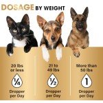 Hemp Seed Oil & Norwegian Salmon Oil - Organic, No Additives, Human-Grade Formula for Dogs and Cats - Reduce Anxiety, Pain, and Inflammation - Hip and Joint Support - Made in USA