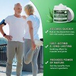 LPETWALK 8.5 oz Hemp Cream Maximum Strength - Natural Instant Hemp Cream with Hemp, Arnica, Turmeric - All-Natural Formula