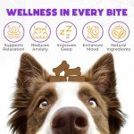 Hemp Calming Chews for Dogs Anxiety 60 pcs - Chicken Flavored - Dog Anxiety Relief - Dog Calming Chews - Melatonin for Dogs - for Stress, Travel, Check-up, Barking or Grooming - Dog Calming Treats
