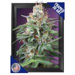 Trippy Marijuana Weed Hippie Plant 3D Poster Wall Art Decor Framed Print | 12x16 inches | Purple Kush Psychedelic Pot Leaf Lenticular Posters & Pictures