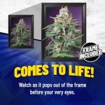 Trippy Marijuana Weed Hippie Plant 3D Poster Wall Art Decor Framed Print | 12x16 inches | Purple Kush Psychedelic Pot Leaf Lenticular Posters & Pictures