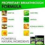 Hemp Cream Maximum Strength - Soothing Relief for Back, Neck, Feet & Nerves, Hands, Muscle and Joint Support - All-Natural Formula - Hemp Oil Gel Rub with MSM - Glucosamine, Turmeric, Arnica - 4 FL OZ