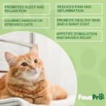PawsPro Hemp Oil for Dogs and Cats - Helps Pets with Anxiety, Stress, Sleep - Calming Drops for Pet - Support Hip and Joint Health - Fast Results (2 Pack)