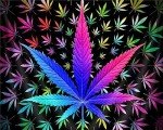 Muyankissu Diamond Art Kit for Adults Cool Weed Neon Tie Dye Marijuana Leaf Cannabis Kits Gem Art Wall Home Decor 12x16inch …