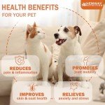 (2-Pack) Organic Hemp Oil for Dogs and Cats - Pet Hemp Drops for Anxiety Relief, Stress,Pain, Calming, Sleep, Arthritis - Treats Chews - Support Hip and Joint Health - Rich in Omega 3-6-9