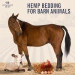 Dominion Hemp Premium Hemp Bedding for Chicken Coops 10+ Cubic Feet (285L) - USA-Grown & Processed - Nesting Boxes for Chickens, Rabbits, Guinea Pigs, Hamsters, Reptiles, and Brooders - 1 Pack