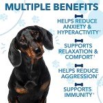 Hemp Calming Chews for Dogs with Anxiety and Stress - Dog Calming Treats - Dog Anxiety Relief - Storms, Fireworks, Thunder, Barking, Separation Aid - Valerian - Hemp Oil - Treats for Dogs - 120 Chews