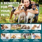 2 Packs - Pet Hemp Oil for Dogs and Cats - Anxiety, Stress Pain Holistic Inflammation Relief - for Joint Hip Arthritis, Calming Oil Drop - Organic Pets Treats