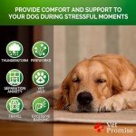 Vet Promise Hemp Calming Chews for Dogs Anxiety - Advanced Dog Calming Chews - 170 Treats - Dog Anxiety Relief with Hemp Oil - Hip and Joint Supplement Health Support for Dogs - Made in USA