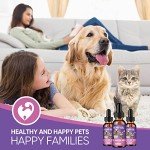 Hemp Oil for Dogs and Cats 3 Pack Relief Pet with Anxiety Stress Pain Aggressive Pets Calming Drops Help Dog Cat Calm Sleep Relaxing Aid Treats Seizure Joint Hip Inflammation Rich in Omega 3 6 9