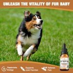 Hemp Oil for Dogs & Cats, Help Anxiety Strees, Hip & Joint Pain Relief, Relax Sleep, Organic Pet Calming Drops (2 Pack)