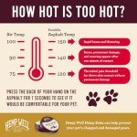 Hemp Well New Hemp Balm for Pets and People - Organic Pet Balm, Dogs and Cats, Human - Relieves Dryness and Cracking for Paws, Skin, and Nose, 2 oz.