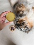 Hemp Well New Hemp Balm for Pets and People - Organic Pet Balm, Dogs and Cats, Human - Relieves Dryness and Cracking for Paws, Skin, and Nose, 2 oz.