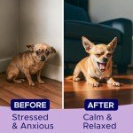 GOODGROWLIES Advanced Calming Chews for Dogs - Hemp Treat + Melatonin + Valerian - Relaxing Bites - Calming Care - Anti-Anxiety & Stress Relief - Made in USA - Calm, Sleep Aid, Storms - 120Ct