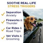 GOODGROWLIES Advanced Calming Chews for Dogs - Hemp Treat + Melatonin + Valerian - Relaxing Bites - Calming Care - Anti-Anxiety & Stress Relief - Made in USA - Calm, Sleep Aid, Storms - 120Ct