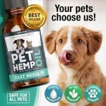 Hemp Oil for Pets - Eases Anxiety and Pain