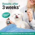 Hemp Oil for Pets - Eases Anxiety and Pain