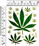 Stickers Pack 10 Sheets Weed Cannabis Marijuana Hemp Green Leaf Cartoon Stickers Craft Scrapbooking Book Album Card Diary Calendars Planner Decoration Art Decal for Kid and Adult (06)