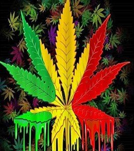 Muyankissu DIY 5D Diamond Art Numbering Kit,Reggae Rasta Marijuana Leaf Weed, Full Drill Art Arts Craft Canvas 12x16 inch
