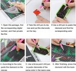 Muyankissu DIY 5D Diamond Art Numbering Kit,Reggae Rasta Marijuana Leaf Weed, Full Drill Art Arts Craft Canvas 12x16 inch