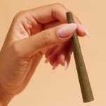 ZIG-ZAG Natural Infused Cones - Pink - 2 Cones Per Pack, 15 Pack Carton, Prerolled