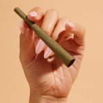 ZIG-ZAG Natural Infused Cones - Pink - 2 Cones Per Pack, 15 Pack Carton, Prerolled