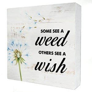 Some See a Weed Others See a Wish Wood Box Sign Home Decor Rustic Spring Quote Wooden Box Sign Block Plaque for Wall Tabletop Desk Home Decoration