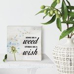 Some See a Weed Others See a Wish Wood Box Sign Home Decor Rustic Spring Quote Wooden Box Sign Block Plaque for Wall Tabletop Desk Home Decoration