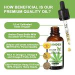 (2 Pack) 5000mg Organic Cold-Pressed Hemp Oil - Rich in Omega 3-6-9 - Natural Hemp Drops - Made in USA