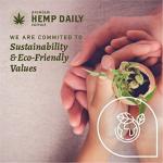 Premium Hemp Extract Daily Intensive Cream - Muscle, Knee, Back, Joint and Shoulder Topical Rub - Organic | 1.7 Ounces (Classic Mint, Pack of 1)
