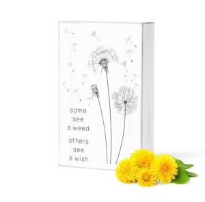 Some See A Weed Others See A Wish - Dandelion Sign | Inspirational Gifts for women and men | Social worker, Mothers Day, Teacher appreciation gifts | Home, office, shelf, desk, cubicle, room decor
