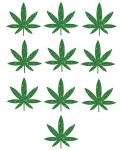 10 Marijuana Leaf Iron On Decals, Mini 1x1 Cannabis Weed Pot Leaf Heat Transfers, Apply in 5 Min (Green Glitter)