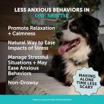 Hemp Calming Chews for Dogs - Dog Anxiety Relief, Dog Calming Treats with Hemp + Valerian Root, Melatonin for Dogs - Helps Aid with Thunder, Fireworks, Chewing & Barking (Chicken 180 ct)