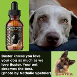 K2xLabs 3Pack 6Month Supply Buster's Organic Hemp Oil for Dogs and Pets 555000 Max Potency Large 60ml Bottle Miracle Formula, Perfectly Balanced Omegas 3, 6, 9 - Joint Support, Calming