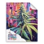 Marijuana Paint by Numbers, Cannabis Leaves Easy Acrylic Oil Painting for Adults Beginner on Canvas, Marijuana Leaf Plant Home Wall Decor - Marijuana Herb Weed Ganja(16x20inch, No Frame)