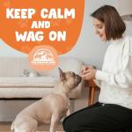 Hemp Calming Chews for Dogs Anxiety Relief - 120 Count - USA Made - 350 MG Per Calming Treat for Dogs