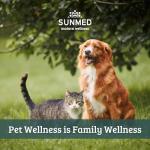 Sunmed Movin' Easy Hemp Pet Chews for Joint Health & Mobility – Omega-3, Green Lipped Mussels, 5mg Hemp Extract – Supports Flexibility & Comfort | Beef Liver & Sweet Potato, 40 Count