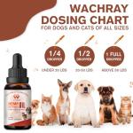 WACHRAY Hemp Oil for Dogs and Cats - Calming Drops Dog Relaxants - Help Pets with Anxiety Stress Sleep, Hip & Joints Support, Arthritis Sеizures Rеlief - Hеalth - Organic Pet Hemp Oil Drops (2 Pack)